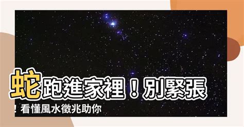 蛇跑進家裡代表什麼|【蛇跑進家裡代表什麼】蛇跑進家裡竟藏吉凶預兆？風水專家揭開。